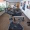 Отель Mar Hotels Paguera & Spa