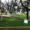 Отель Park Hotel Villa Ariston