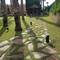 Отель Hotel Las Madrigueras Golf Resort & Spa