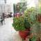 Отель Theano Guesthouse 