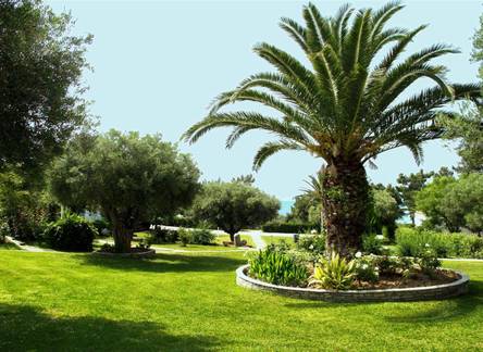 Отель Trikorfo Beach