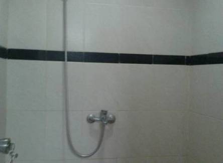 Отель The Soemarsono Hotel 