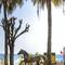 Отель Barut Hemera