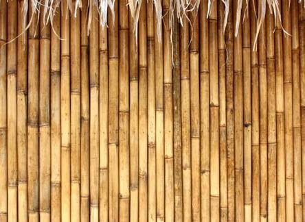 Отель Bamboo Bamboo 