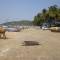 Отель The Tubki Resort