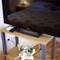Отель Guest Accommodation Slapovi Krke 