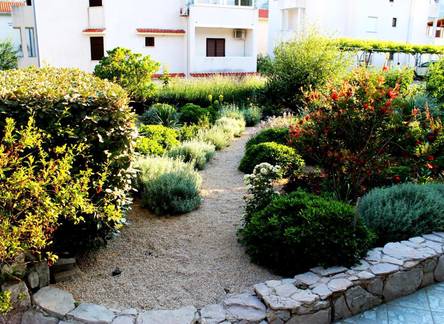 Отель Apartments Frgacic 