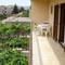 Отель Apartments Dragan 