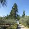 Отель Bluesun Villa Vela Luka
