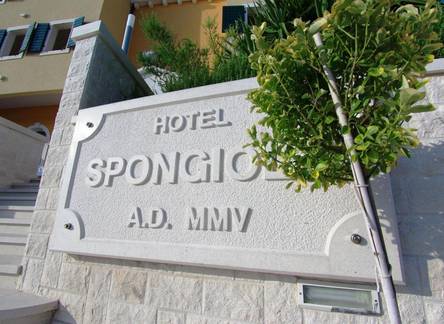 Отель Hotel Spongiola 