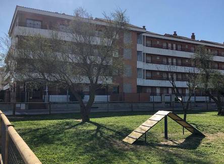 Отель Apartamentos familiares Sa Gavina Gaudi