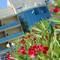 Отель Hotel Valverde & Residenza 