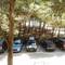 Отель Apartamentos La Pineda 