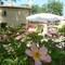 Отель Casina Le Conserve 
