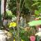 Отель Stevo Guesthouse 