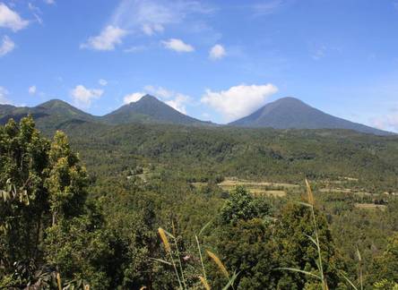 Отель Made Oka Homestay and Warung 