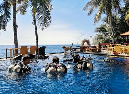 Отель Villa Alba Bali Dive Resort 