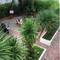 Отель Basilico Hotel & Restaurant 
