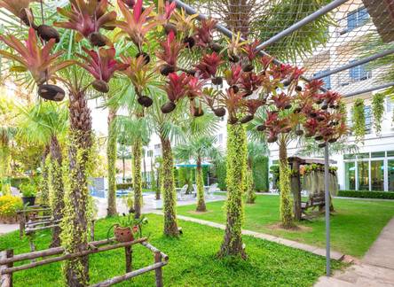 Отель Sung Thong Resort & Spa 