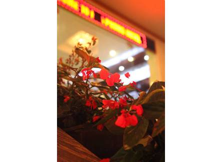 Отель Hoa Phong Sa Pa Hotel 