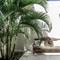 Отель Villa Chocolat Beach 