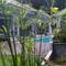 Отель Laila Pool Village