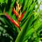 Отель Bali Spark Resort