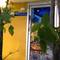 Отель Phuket Art Home 