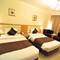 Отель Phoenicia Hotel