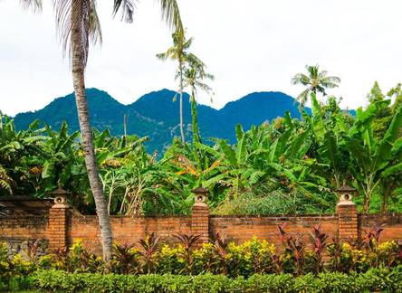 Отель Badini Homestay 