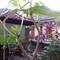 Отель Ressa Homestay 