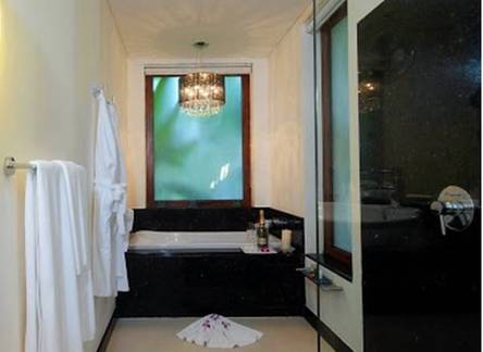 Отель Banyan Suites 