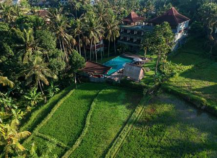 Отель The Artini Dijiwa Ubud