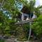 Отель The Blue Orchid Resort 