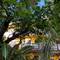 Отель Hotel Maya Bric