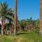 Отель Reef Oasis Beach Resort