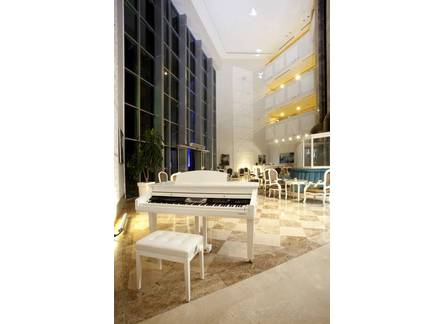 Отель Elmas Garden Inn Welness & Spa Hotel