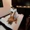 Отель Seabel Alhambra Beach Golf & Spa