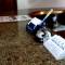Отель Oriental Inn Bintulu