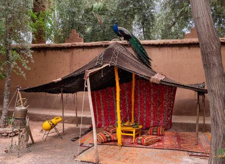 Отель Bivouac La Palmeraie