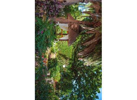 Отель Les Lataniers Bleus - Villas & Guest House
