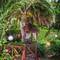 Отель Les Lataniers Bleus - Villas & Guest House