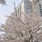 Отель Grand Hyatt Tokyo