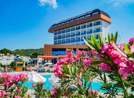 Отель Throne Beach Resort & Spa