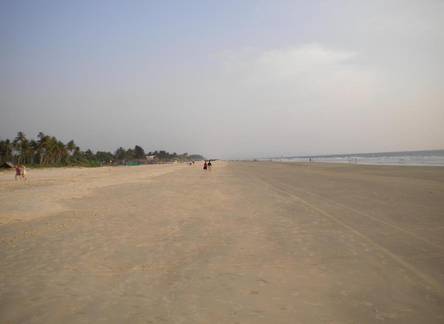 Отель Lotus Benaulim - Beach Apartment