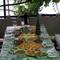 Отель Guest House Green Rose