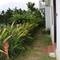Отель Green Areca villa