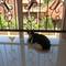 Отель Dobry Kit Guest House