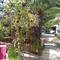 Отель Letniye Domiki Vacation Home