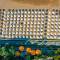 Отель Arum Barut Collection